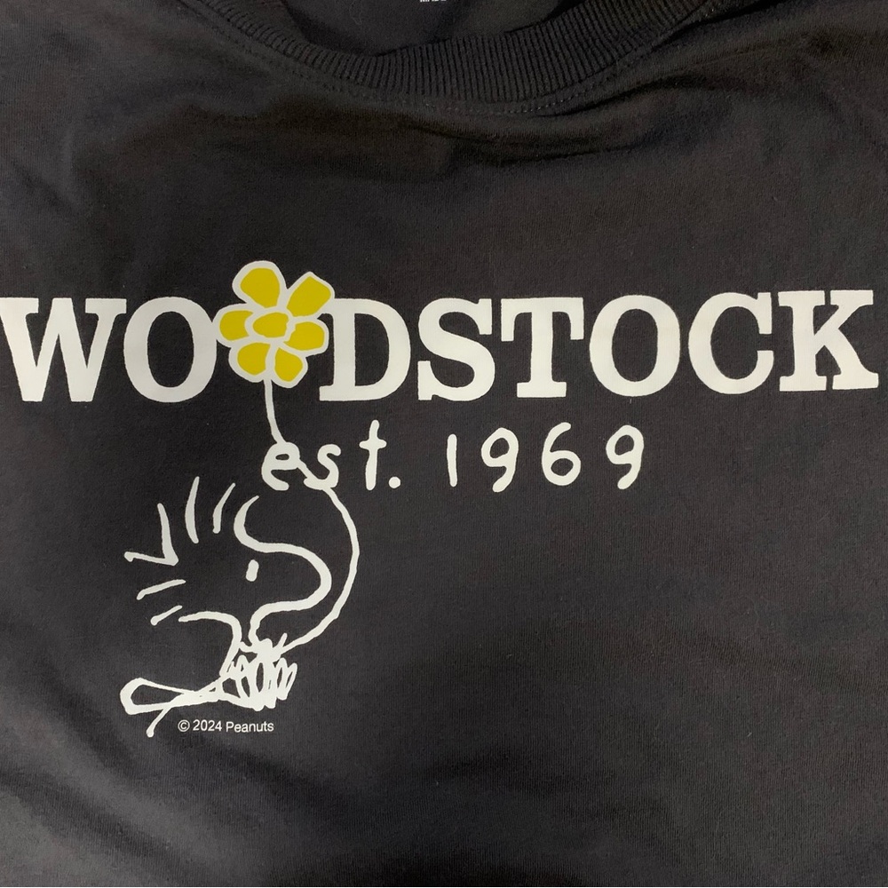 XL Woodstock Peanuts Snoopy Dark Grey t-shirt Charlie Brown 1969